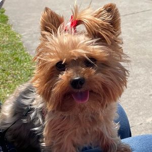 Meet your Posher, Renato